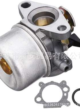 百力通 Briggs & Stratton 化油器 498965