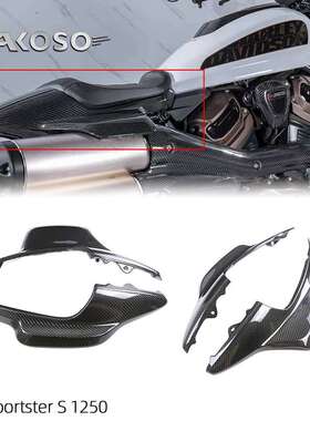 适用哈雷戴维森 Halley Sportster S 1250改装碳纤维尾座侧板外壳