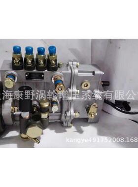 原装喷油泵 电调泵BH4QT95L9 4QTE20和4QTE31 和4QTE32