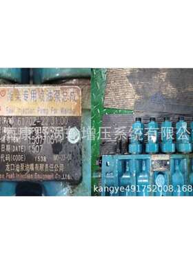 原装喷油泵6170z-22.31.00 BHT6P9160R6145和6152 BHT6P9140R6152