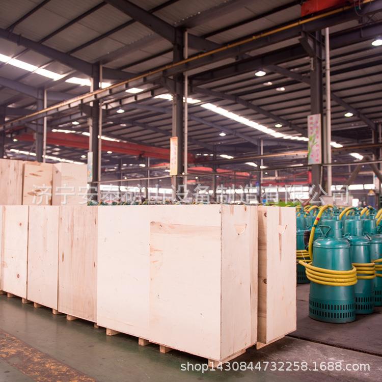 济宁安泰油田防爆潜污泵 防爆排污泵厂家地址 WQB20-15-2.2