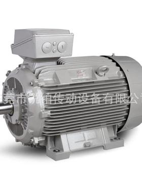 Rotor电动机荷兰原装 5RN90L 6RN100L铸铁铝壳IE1 IE2 IE3马达