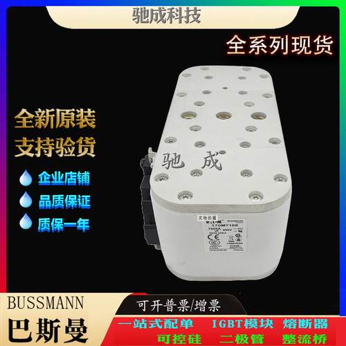 巴斯曼170M7166 170M7167 170M7168 大量现货厂价销售 快速保险丝