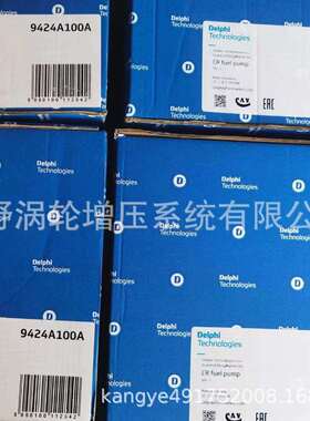 共轨喷油泵1111100-ED01 9424A100A