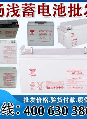 YUASA汤浅蓄电池NP24-12V24AH5AH7AH17.2AH18AH38AH40AH65AH100AH