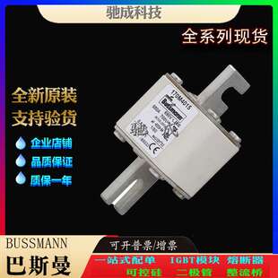 巴斯曼170M4015 170M4016 170M4017 厂价直销批零兼营 低压熔断器