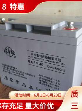双登长寿命 6-GFM-100AH铅酸蓄电池 内阻低 接受能力强