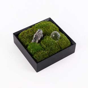 新中式永生苔藓盆栽样板房售楼部酒店别墅茶室桌面绿植摆件仿真花