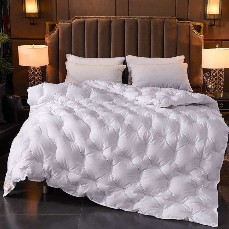 送被套冬季加厚保暖8/10斤单双人春秋羽绒被羽丝绒棉被被芯