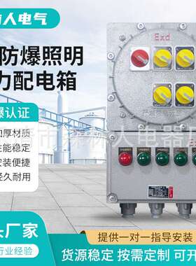 IIC防爆照明动力配电箱接线箱仪表电力检修断路器控制监控箱防护