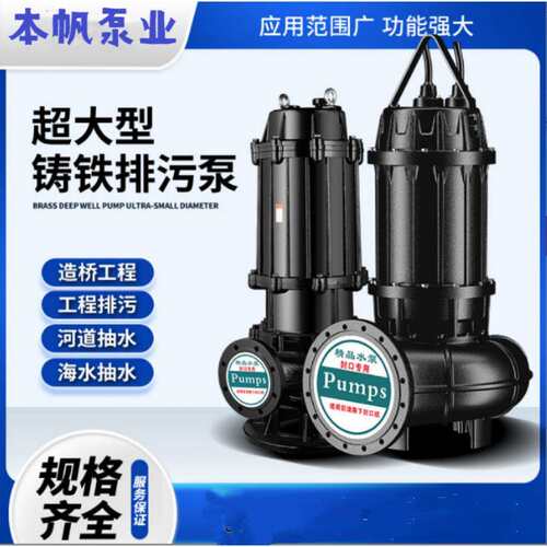 排污泵口径3寸口径污水泵2.5PW污水排污泵出水口径150mm潜水泵