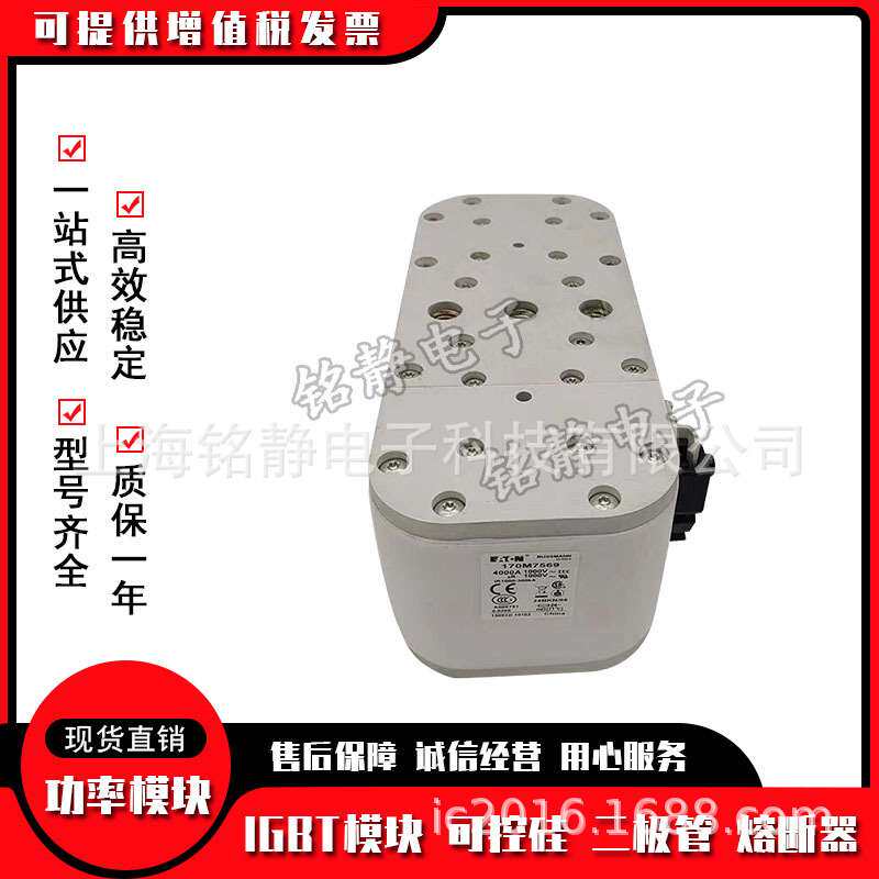170M7595 170M7512 170M7510 170M7511 170M7976巴斯曼熔断器现货