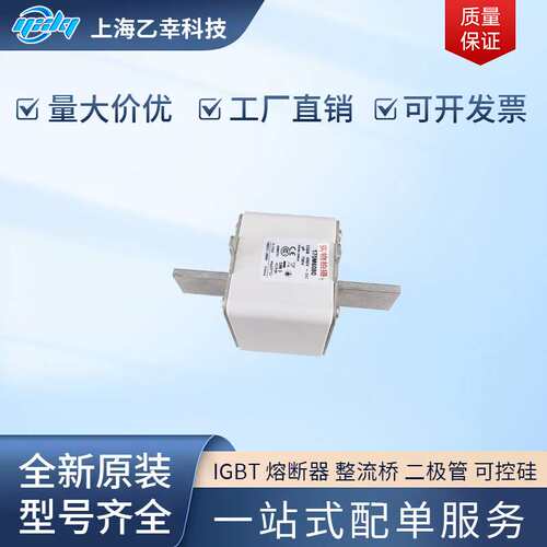 巴斯曼熔断器   170M6125 170M6138 170M6139 170M6140 170M6141