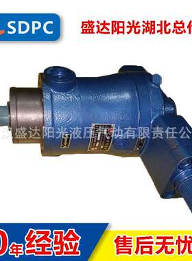 邵阳维克 启东 10YCY14-1B 25YCY14-1B 轴向柱塞泵 高压油泵