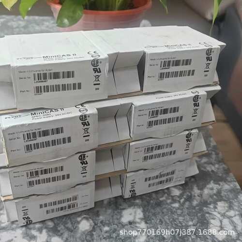 飞力Mini CAS泄漏监测器 Flygt水泵保护继电器