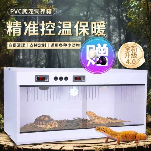 pvc爬虫爬宠鬃狮饲养箱 全自动恒温箱防潮育雏保温箱