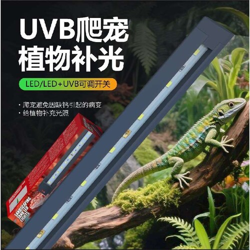 爬宠LEDUVB10.0鬃狮变色龙陆龟灯水龟植物发色小型晒背灯具