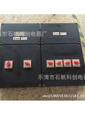 防爆防腐配电箱 BXMD8050系列防爆防腐配电箱 BXX8050 ZXF8044