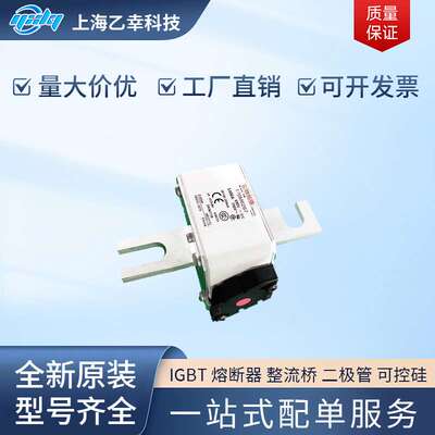 巴斯曼熔断器  170M6254 170M6256 170M6258 170M6259 170M6260