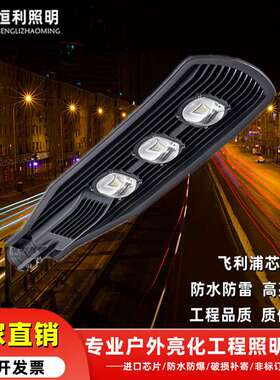 led路灯头100W 市政工程路灯 户外防水小区庭院新农村 挑臂道路灯