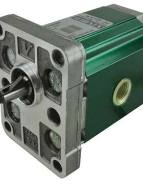 VIVOIL维沃尔X1R2004DZZE进口齿轮泵 液压泵 铝合金齿轮泵