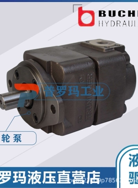 德国布赫BUCHE液压泵QX43-020 QX43-025  QX63-080 QX63-125现货