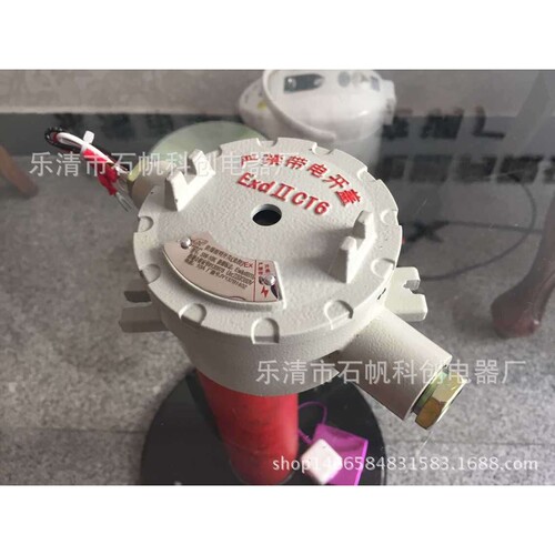 SW-10K防爆光控定时开关 防爆光控开关 防爆路灯光控开关