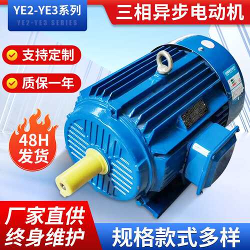三相异步电动机 YE2/YE3系列 多规格大功率380V减速机械设备