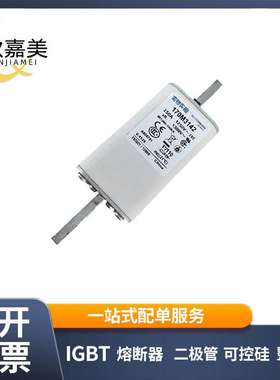 170M3142  170M3144 快速熔断器  电子元器件 型号齐全 量大价优