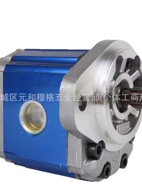 VIVOIL VIVOLO维沃尔意大利高压齿轮泵X1P1811GIIA X1P2011GIIA