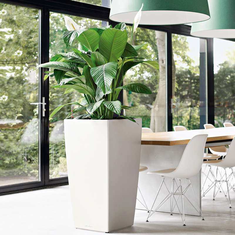 北欧客厅大花盆高筒方形自动吸水塑料轻奢深高盆懒人特大落地,鲜花速递/花卉仿真/绿植园艺,割草机/草坪机,淘宝优惠券,粉丝福利购,淘宝优惠卷