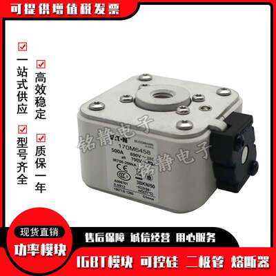 170M6458 170M6459 170M6460 170M6461 170M6462巴斯曼熔断器现货