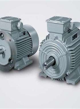 1FT6108-8AC71-1DH0 1FT6134-6SC71-1AB0 1FT6105-8AF71-1DH0电机