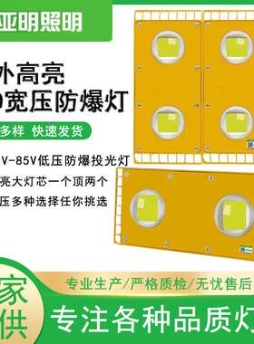 上海亚明led低压防爆灯36V,12V-85V,高压220V100W-600W高亮防爆灯