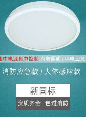 振辉36V低压智能吸顶灯LED过道走廊灯具楼梯灯雷ZF-ZFJC-E7W-8332