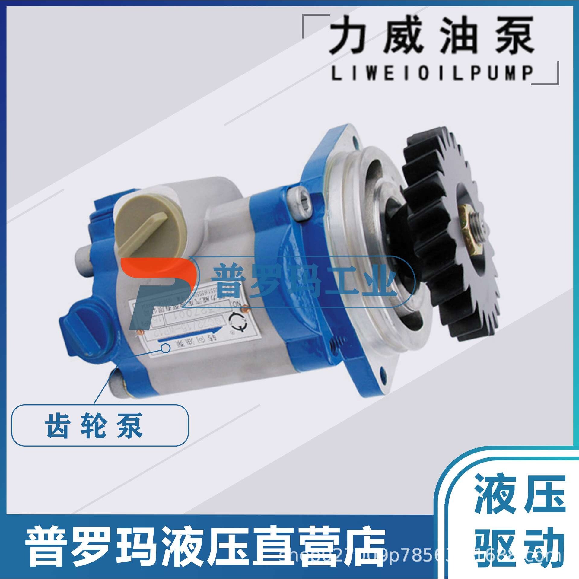 合肥力威 QC20/15-WP6 汽车油泵 合肥天力 动力泵转向齿轮泵