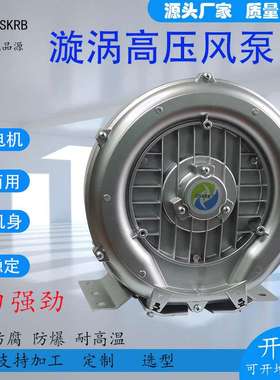 RB-61D-2高压风机2.2KW灌装机真空风机2200w贴标机风干旋涡气泵