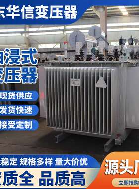 S20-250KVA/10KV油浸式变压器 铜材质
