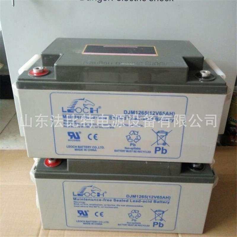 支持到货付款理士铅酸蓄电池DJM12100S/12V100AH理士蓄电池