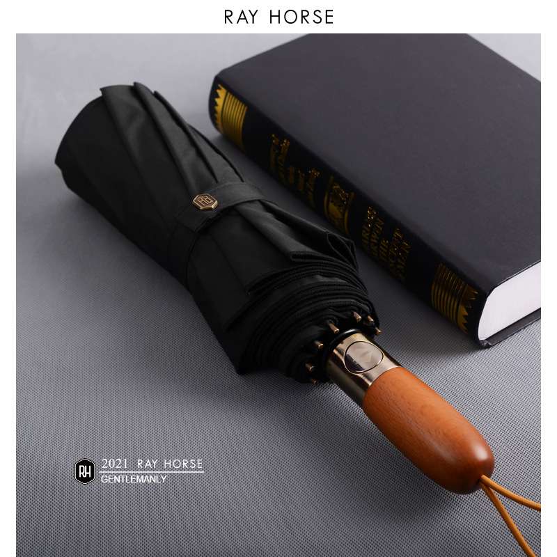 RAY HORSE 全自动折叠伞大号双人伞晴雨两用双层十骨雨伞logo