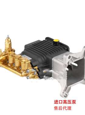 意大利AR RSV4G40 汽油机用高压泵 280bar