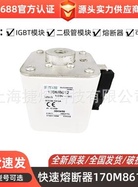 170M8612 170M8635 170M8636 170M8637 低压熔断器 量大价优