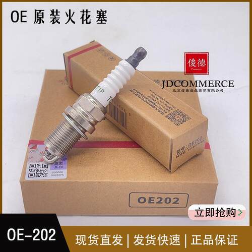 TORCH火炬OE202/K8RTIP火花塞