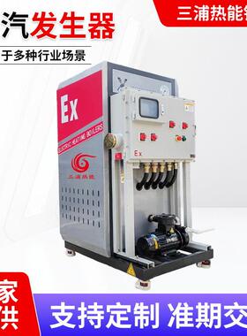 24KW36千瓦EX防爆式蒸汽发生器48KW千瓦BT4防爆标准电阻加热防爆