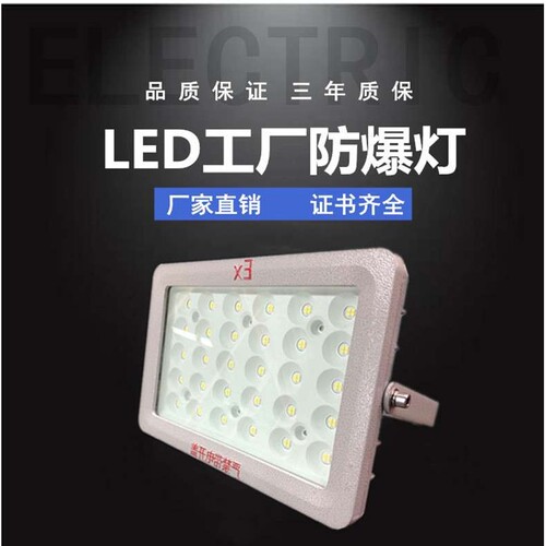 LED防爆投光灯加油站化工厂隔爆型车间照明灯100W防水广告射灯