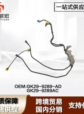 适用福特全顺V362汽油燃油管总成 Ford TouaneoGK29-9289-AD