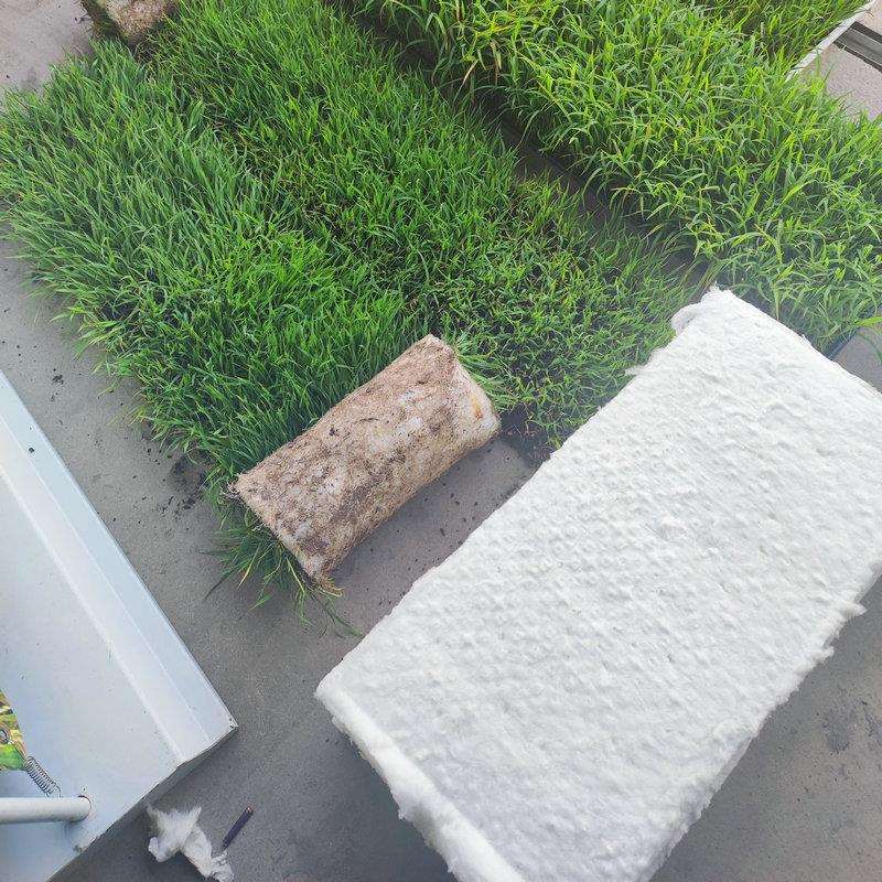 水稻育秧毯水稻毯状基质 水稻育秧盘育秧毯无秧盘育秧毯