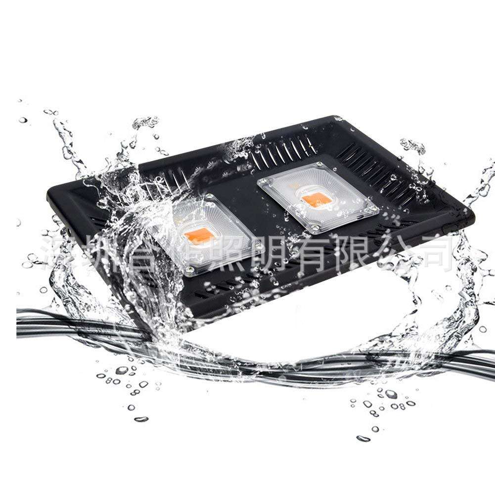 足瓦50W 100W 150W迷你led植物灯全光谱cob生长灯 蔬菜花卉补光灯