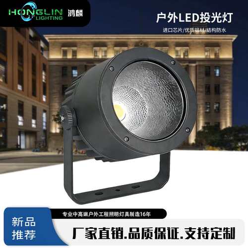 厂家直销led户外亮化LEDCOB50W投射灯防水户外桥梁园林投光灯