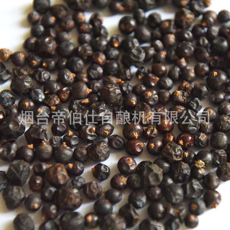 杜松子 干货1kg 酿造 金酒 啤酒食品级调味料 酿酒辅料厂家帝伯仕